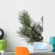 Sosna Pine Wall Decal