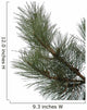 Sosna Pine Wall Decal