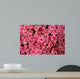pink roses Wall Mural