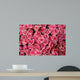 pink roses Wall Mural