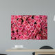 pink roses Wall Mural