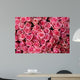 pink roses Wall Mural