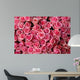 pink roses Wall Mural