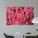 pink roses Wall Mural