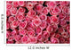 pink roses Wall Mural