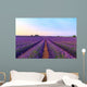 Stunning Landscape with Lavender Wall Decal Design 1