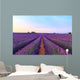 Stunning Landscape with Lavender Wall Decal Design 1