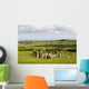 Stone Circle Drombeg Wall Decal