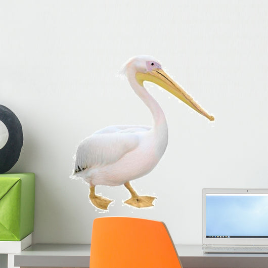 Pelican Wall Decal