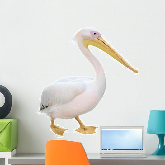Pelican Wall Decal