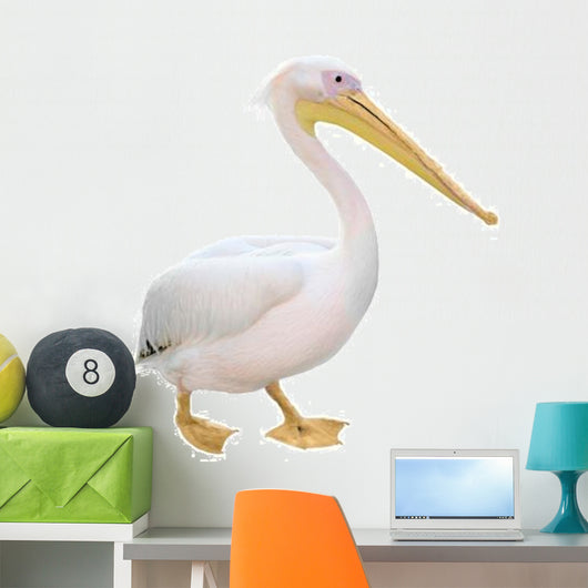 Pelican Wall Decal