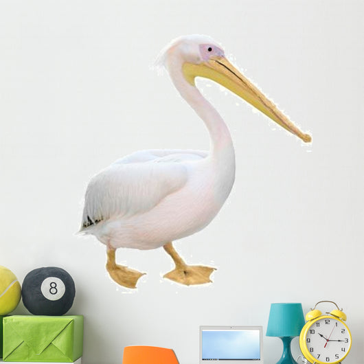 Pelican Wall Decal