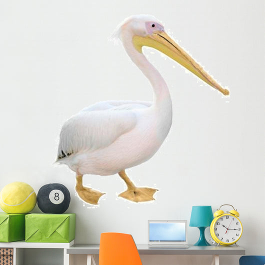 Pelican Wall Decal