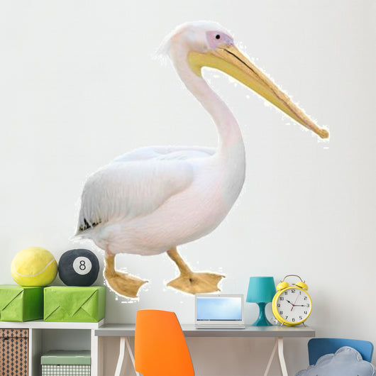 Pelican Wall Decal