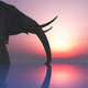 elephant and sunset Wall Mural