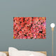 more pink roses Wall Mural
