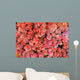 more pink roses Wall Mural