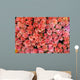 more pink roses Wall Mural