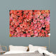 more pink roses Wall Mural