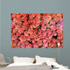 more pink roses Wall Mural