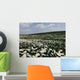 beautiful white flowers chamomile field landscape panorama Wall Mural