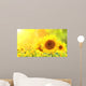 Sunflowers on blurred sunny background Wall Mural
