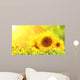 Sunflowers on blurred sunny background Wall Mural