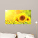 Sunflowers on blurred sunny background Wall Mural