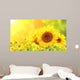Sunflowers on blurred sunny background Wall Mural