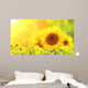 Sunflowers on blurred sunny background Wall Mural