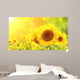 Sunflowers on blurred sunny background Wall Mural