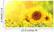 Sunflowers on blurred sunny background Wall Mural
