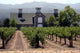 Napa Valley Vineyard Wall Decal