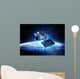 Communications Satellite Orbiting and Wall Mural
