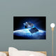 Communications Satellite Orbiting and Wall Mural