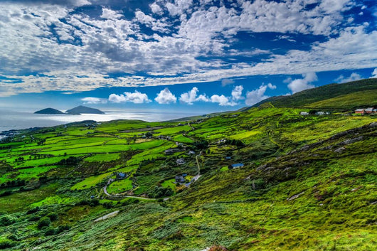 Ring Kerry Wall Decal