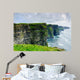 Cliffs of Moher Wall Mural