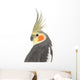 Cockatiel - Nymphicus hollandicus Wall Decal