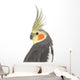 Cockatiel - Nymphicus hollandicus Wall Decal