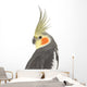 Cockatiel - Nymphicus hollandicus Wall Decal