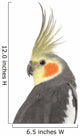 Cockatiel - Nymphicus hollandicus Wall Decal