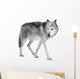 Mackenzie Valley Wolf (8 years) - Canis lupus occidentalis Wall Decal