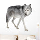 Mackenzie Valley Wolf (8 years) - Canis lupus occidentalis Wall Decal