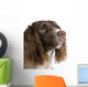 English Springer Spaniel 2 Years Wall Decal