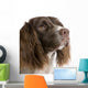 English Springer Spaniel 2 Years Wall Decal