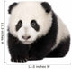 Giant Panda 4 Months - Ailuropoda Melanoleuca Wall Decal