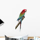 Green-Winged Macaw - Ara Chloropterus 18 Months Wall Decal