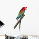 Green-Winged Macaw - Ara Chloropterus 18 Months Wall Decal