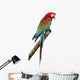 Green-Winged Macaw - Ara Chloropterus 18 Months Wall Decal