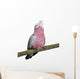Galah bird - Eolophus roseicapilla (19 months) Wall Decal